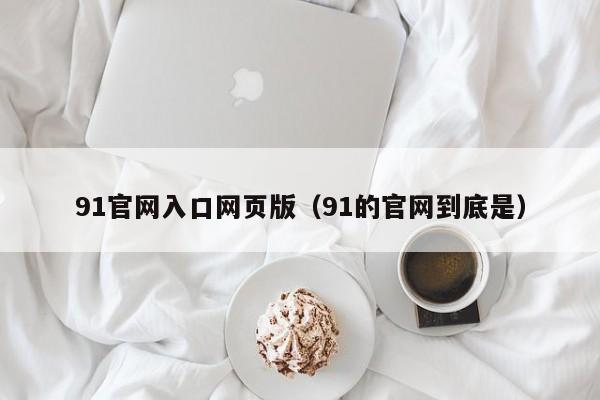 91官网入口网页版（91的官网到底是）
