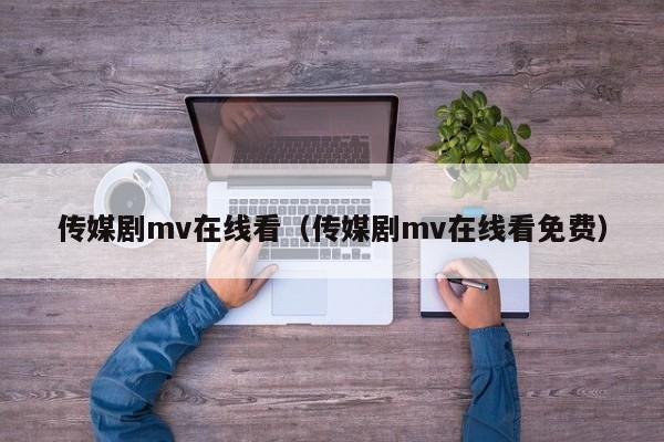 传媒剧mv在线看（传媒剧mv在线看免费）