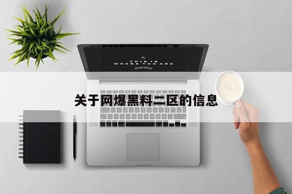 关于网爆黑料二区的信息